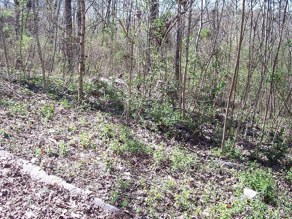 1st image of 0 Milligan Ln Lot 5&6