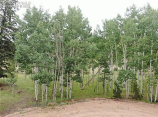 76 Crocus Cir, Florissant, CO 80816