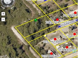 Pistachio St, Weeki wachee, FL 34607