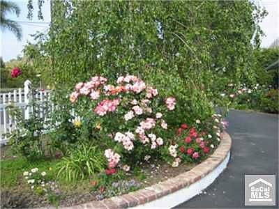 Home has many Roses as well as Citrus trees