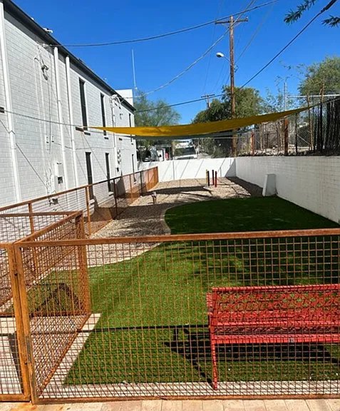 BTA- Dog Park