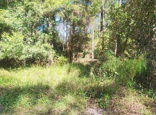 424 Dogwood Ave, Georgetown, FL 32139