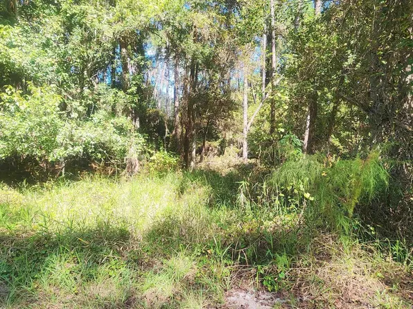 424 Dogwood Ave, Georgetown, FL 32139