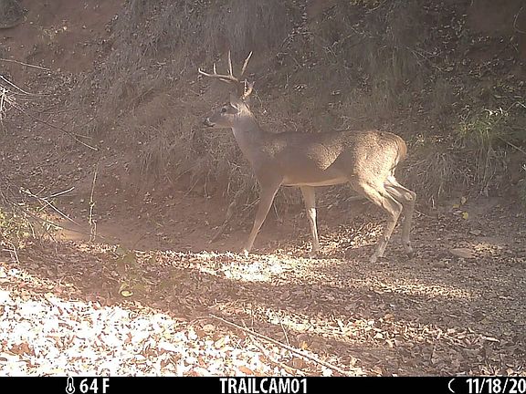 Plump Branch Crossing in Stephens County 