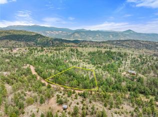 136 Irwin Dr LOT 183, Florissant, CO 80816