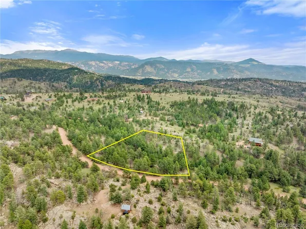 136 Irwin Drive LOT 183, Florissant, CO 80816