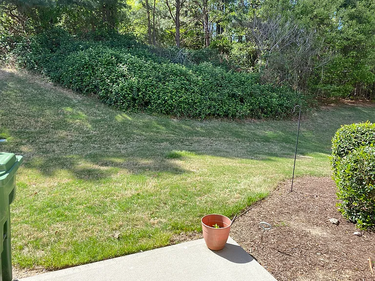 336 Duchart Ln — Photo 16