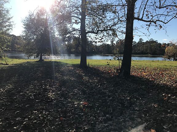 View from patio
