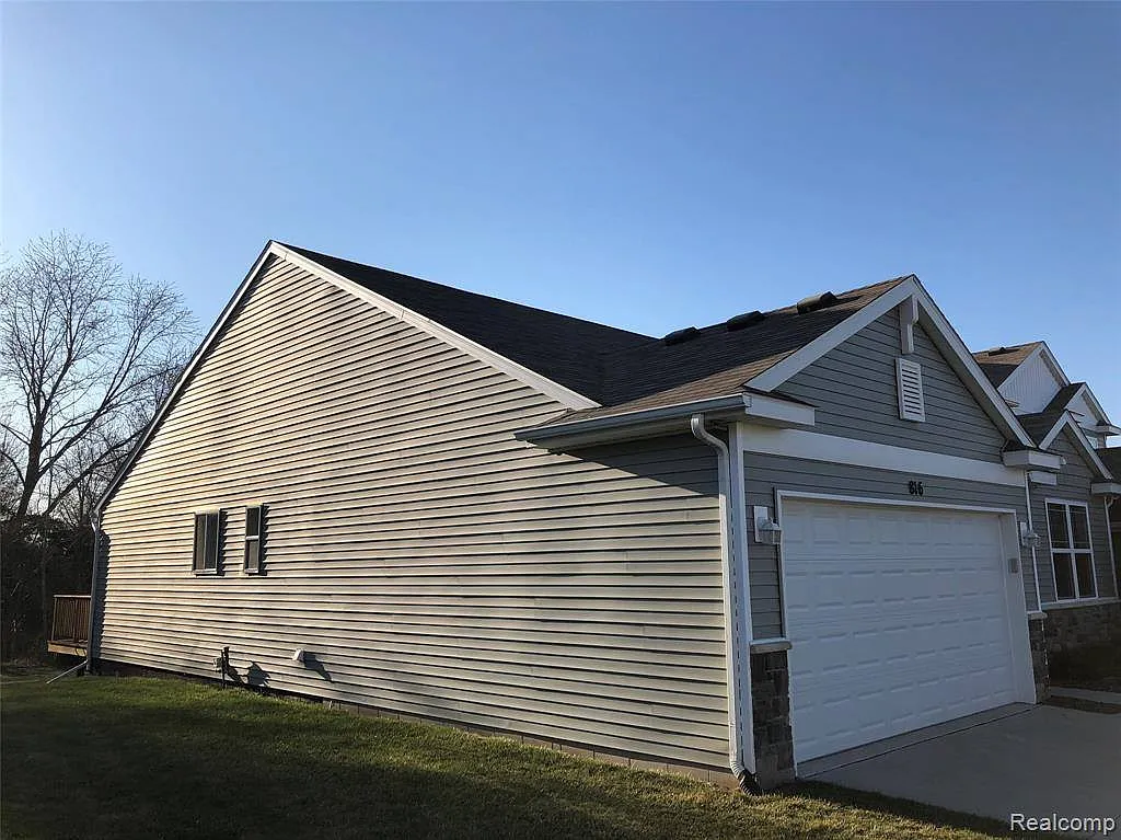 816 Spirea photo 1