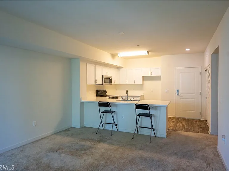 12655 Bluff Creek Dr #123 — Photo 4