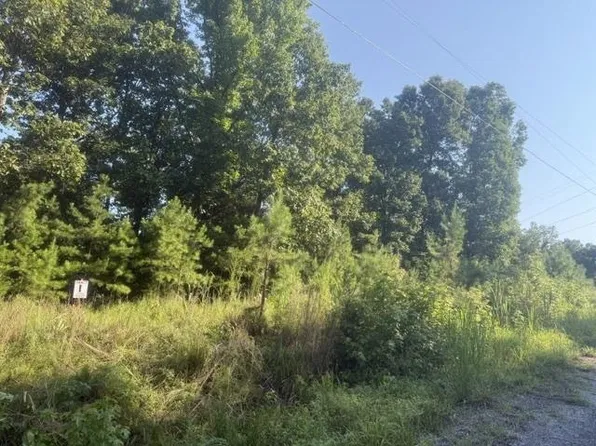 Tracts 1 4 Carroll Hollow Road 3 4 Lot 1-2, Waynesboro, TN 38485