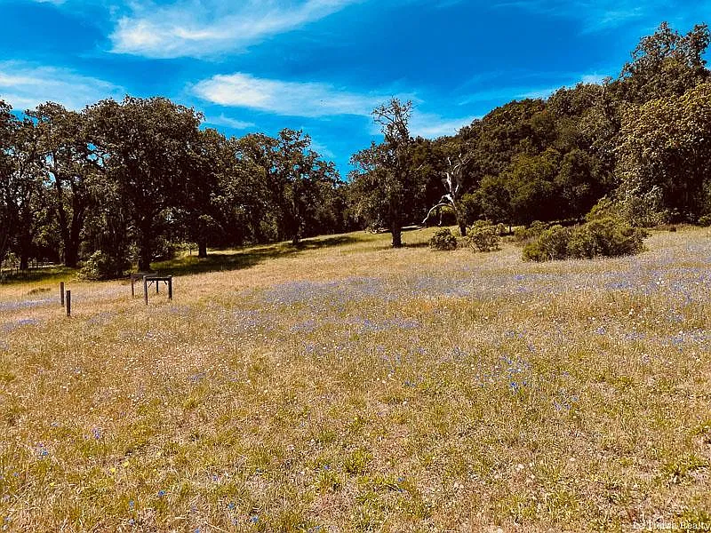 34221 Robinson Canyon Rd photo 1