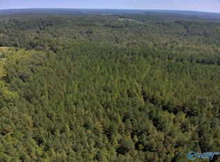221 Blue Bird Rd, Sulligent, AL 35586
