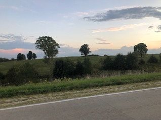 Primarily all fields