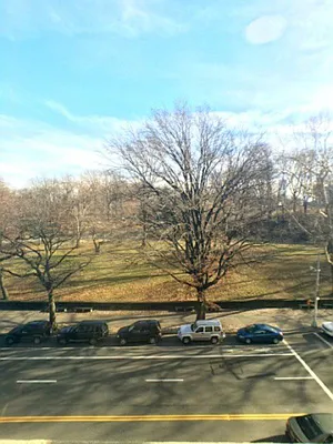 Rented by Bohemia Realty Group | media 10