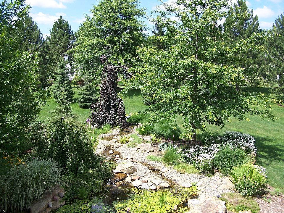 Award winning water garden