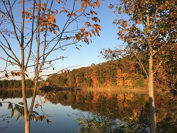 Walk to Lake, Gym, Trails