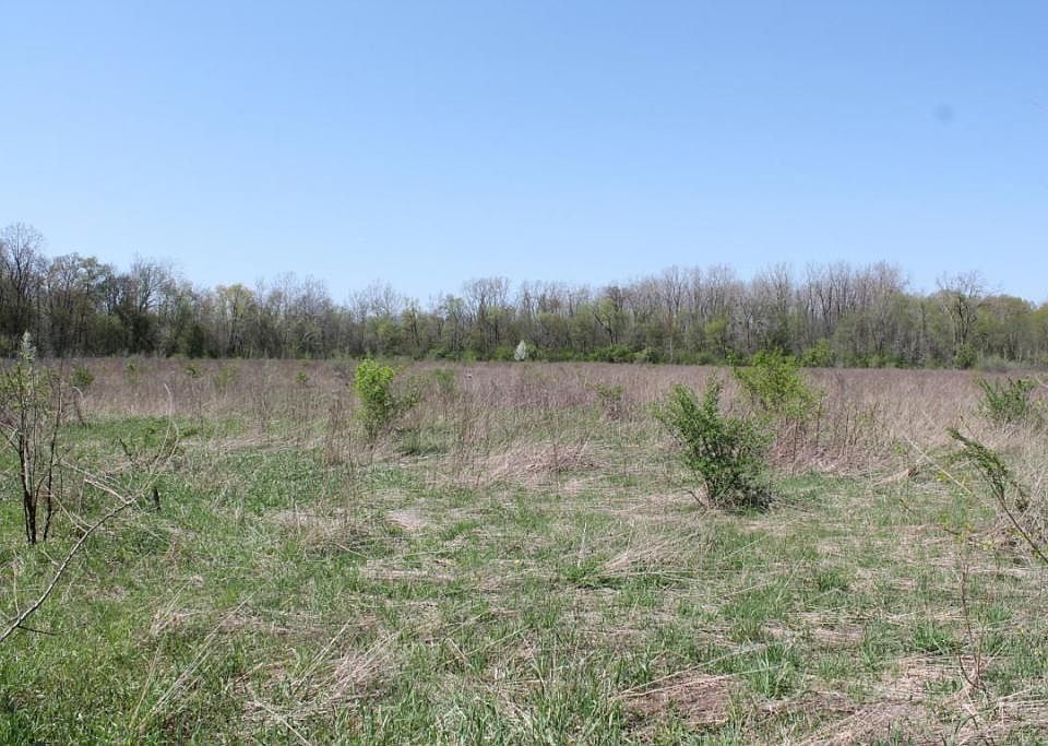 2nd image of 512 Turkey Trail Dr