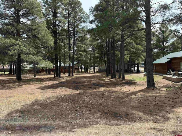 227 Oakwood Circle, Pagosa Springs, CO 81147