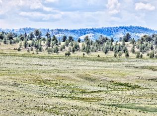 114 Walls St, Hartsel, CO 80449