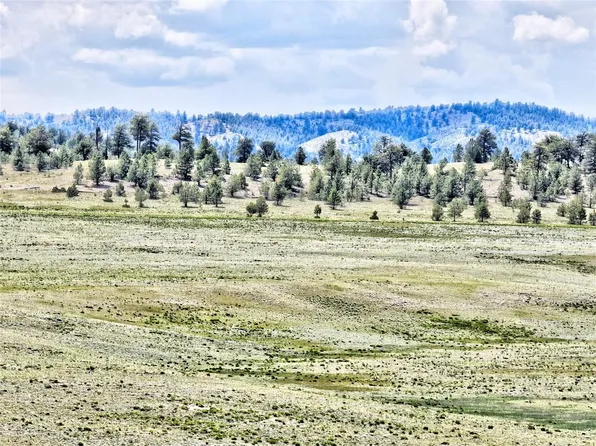 114 Walls St, Hartsel, CO 80449