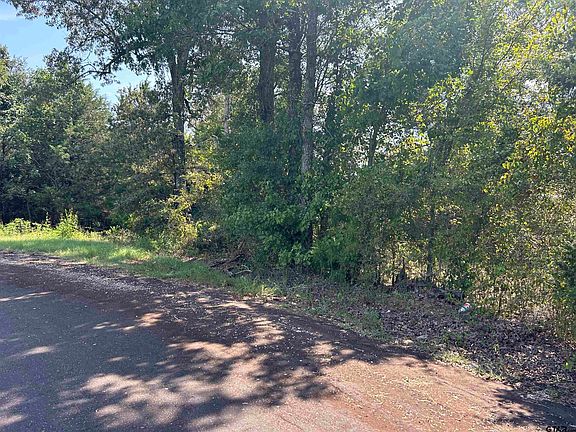 2nd image of County Road 376 E