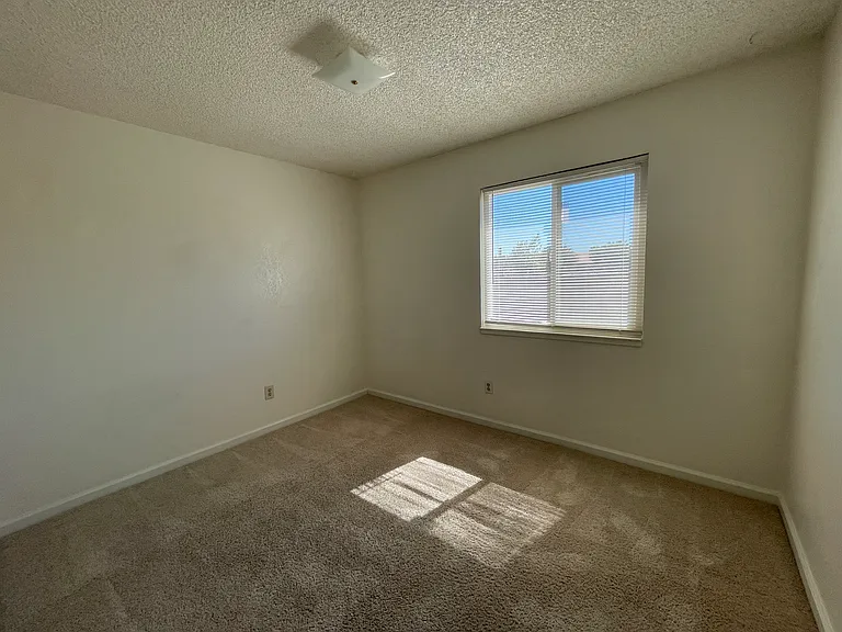 3500 Timberly Ln — Photo 12