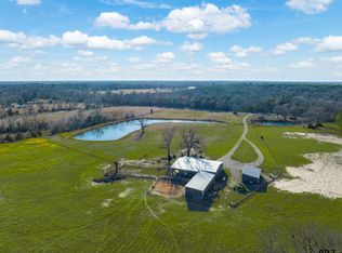 3397 Vz County Road 4412, Ben Wheeler, TX 75754