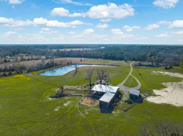 3397 Vz County Road 4412, Ben Wheeler, TX 75754