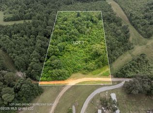 1 Ethel Ln, Collins, MS 39428