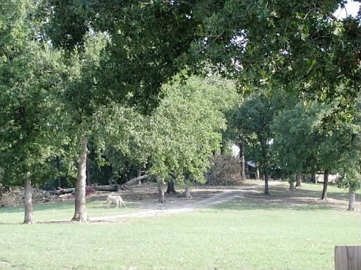 4th image of 453 County Road 3802