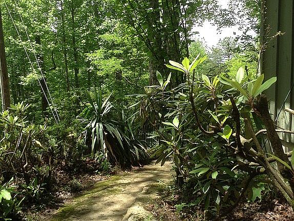 Walkway 
