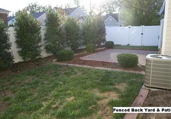 Back yard