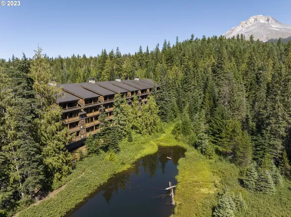 31200 E Collins Lake Rd #1, Government Camp, OR 97028