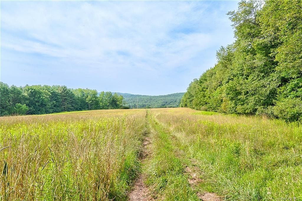 TBD Rolling Meadows Road, White Sulphur Springs, NY 12787 MLS 