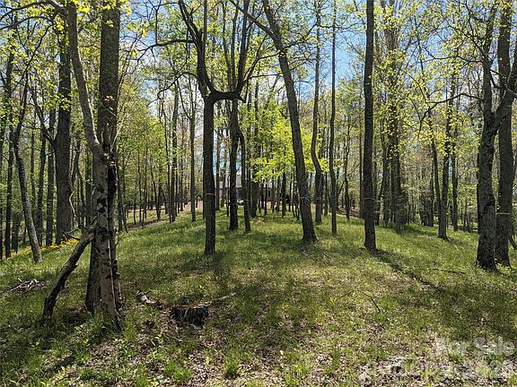 4th image of 27 Woodtrail Way