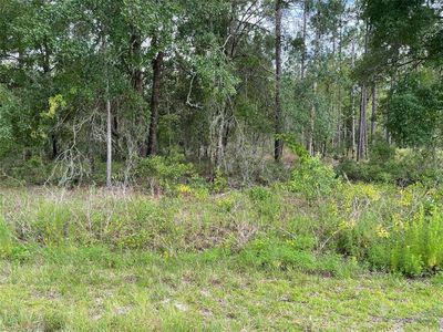 LOT 3 NW Falcon Ave #3, Dunnellon, FL, 34431