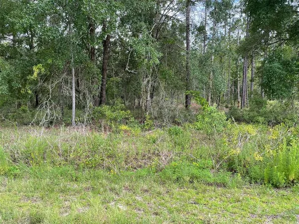 LOT 3 NW Falcon Ave #3, Dunnellon, FL 34431