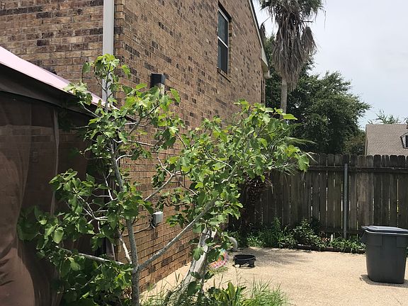 5th image of 10321 Deerfield Dr