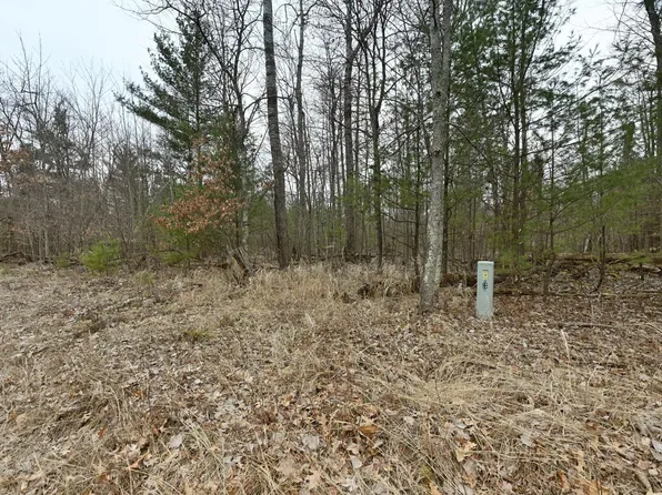 LOT 2 Long Lake Rd, Danbury, WI 54830