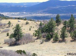 Wapiti Trl, Canon City, CO 81212