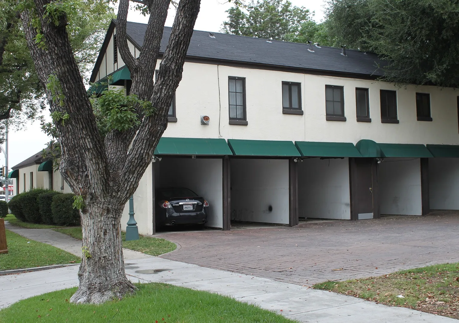 The Bungalows — Photo 3