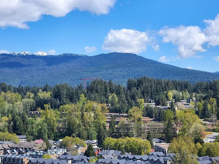 1500 Fern St #1502 — Photo 38