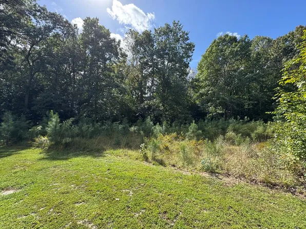 LOT 3B Branch Rd, Temperanceville, VA 23442