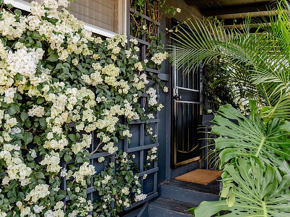 Checking into your lush, island bungalow