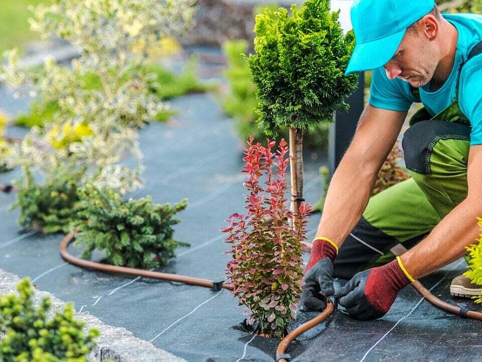 2nd image of Landscaping Business