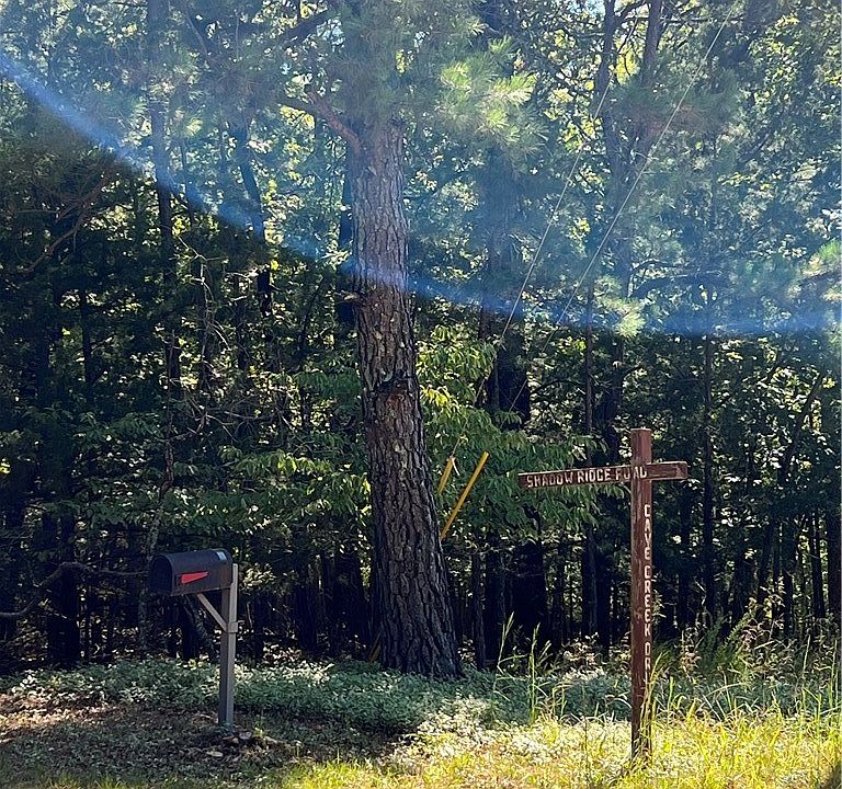 1st image of Shadow Ridge Rd #98