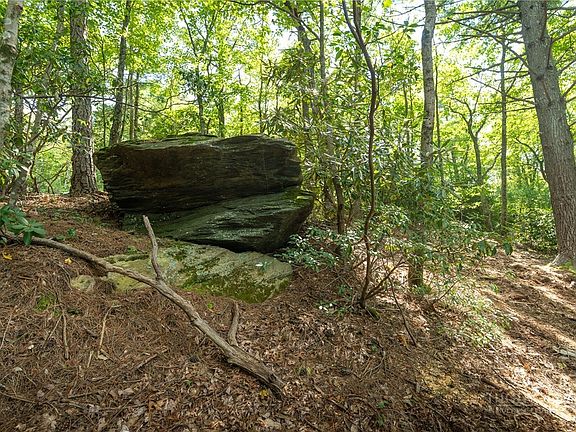 5th image of 327 Lyreleaf Trail