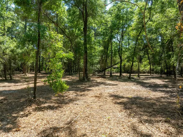 Xx Renee St, Crawfordville, FL 32327
