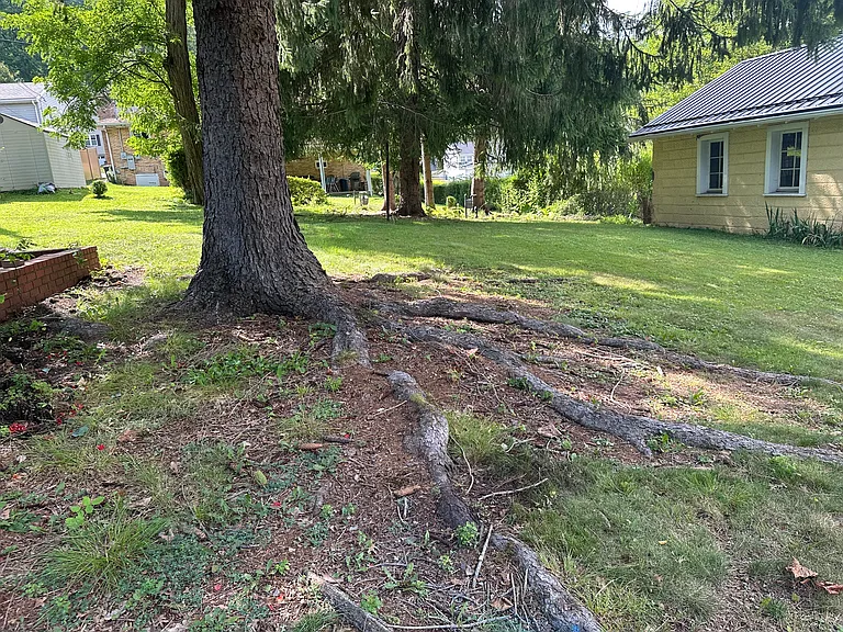 13 Pallister Rd — Photo 3